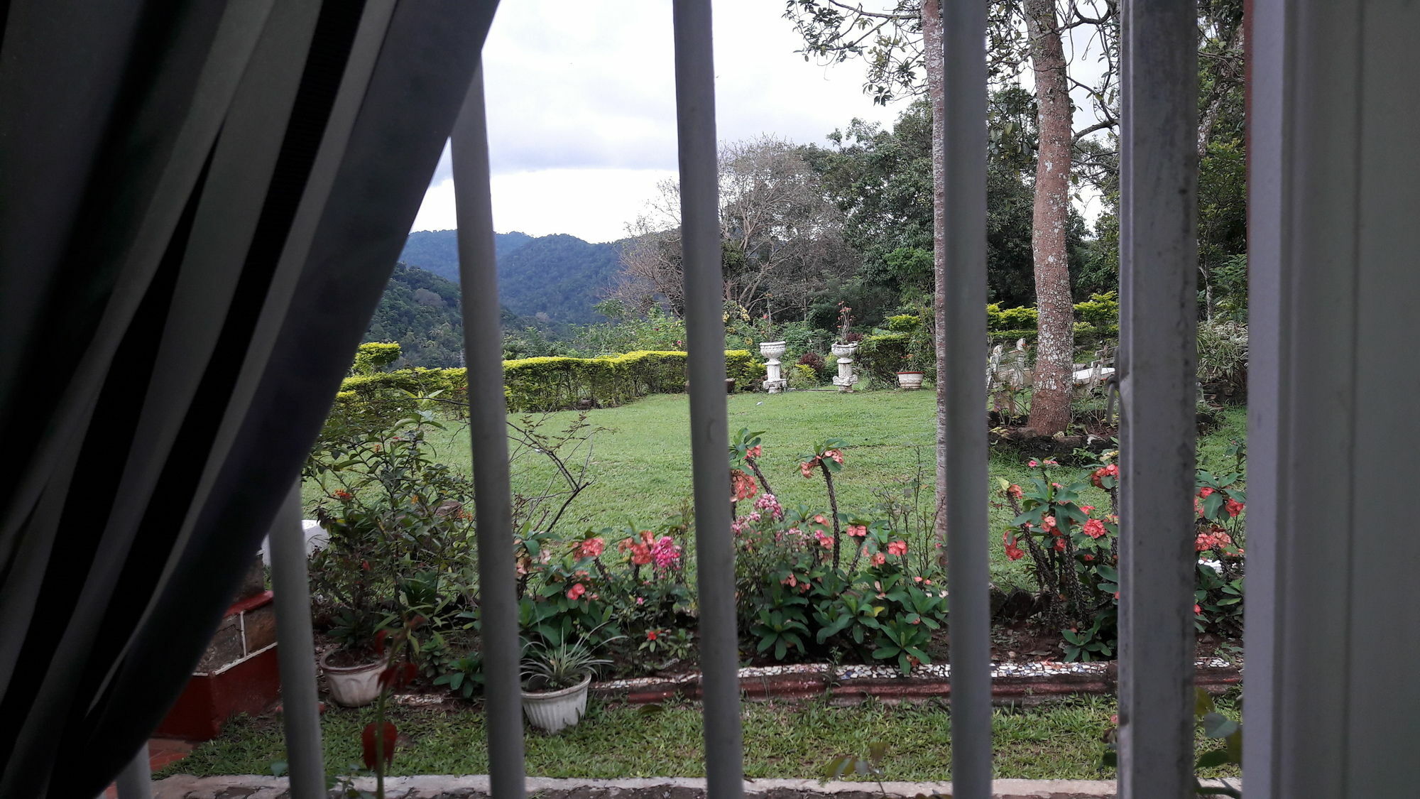 Oyo 441 Kandy Hill Bungalow Exterior foto